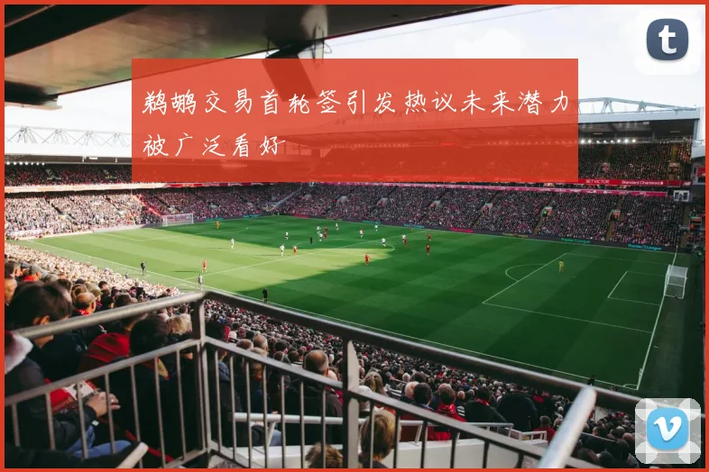 鹈鹕交易首轮签引发热议未来潜力被广泛看好