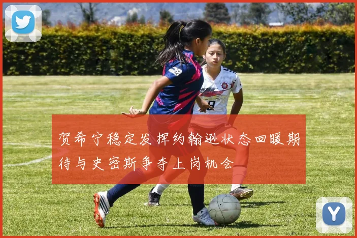 贺希宁稳定发挥约翰逊状态回暖期待与史密斯争夺上岗机会
